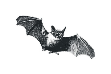 Monochrome Halftone Bat FlyingPNG Image. Vector hand drawn illustration