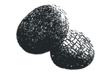 Two lychee fruits image isolated on white. Vector hand drawn illustration