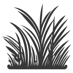 Obraz premium grass garden illustration grey