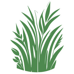 grass garden illustration green