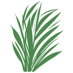 grass garden illustration green