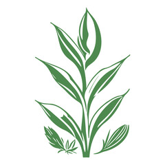 aloe flower illustration green