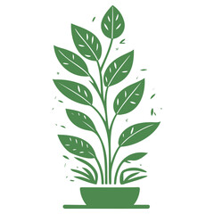 plant pot illustration green