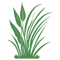 grass garden illustration green