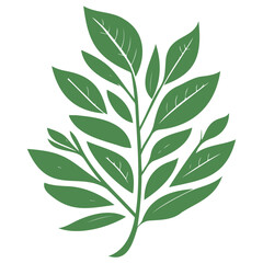 leaf nature illustration green
