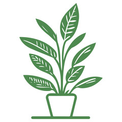 plant pot illustration green