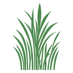 grass garden illustration green