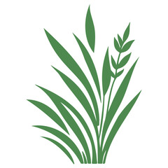 grass garden illustration green