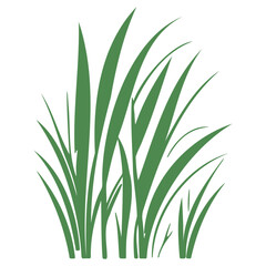 grass garden illustration green