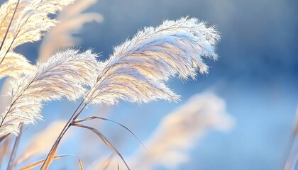 a realistic photograph, soft natural light, pastel tones, muted colors, shallow depth of field, poetic and peaceful atmosphere, minimal composition, fine textures