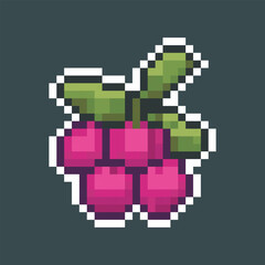wild berry in pixel art style