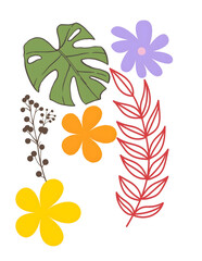 flowers and leaves on a white background