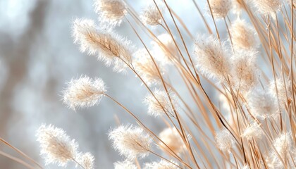 a realistic photograph, soft natural light, pastel tones, muted colors, shallow depth of field, poetic and peaceful atmosphere, minimal composition, fine textures 
