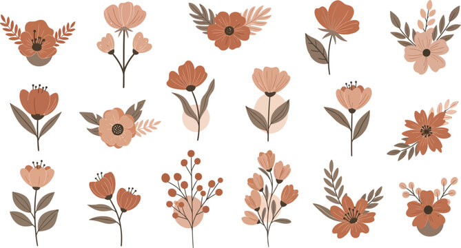 Boho dried floral elements boho wedding invitations crafting and design accents vector