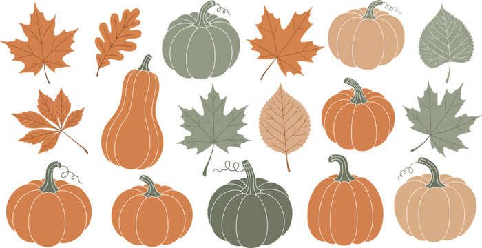Autumn harvest collection pumpkins gourds and fall leaves decorative elements vector