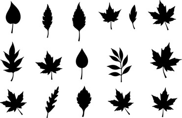 Obraz premium Assorted Leaf Silhouettes Collection