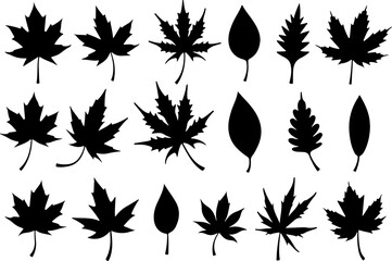 Fototapeta premium Assorted Leaf Silhouettes Collection