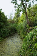 Le Port aux Cerises, Base régionale de plein air et de loisirs en bord de seine, 91, Essonne, France