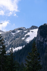 snow covered mountains tatry poland with clouds around and big pine trees