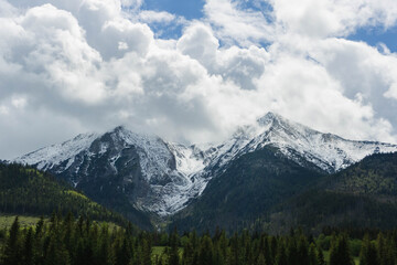 Fototapeta premium snow covered mountains tatry poland with clouds around and big pine trees