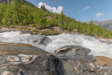 Water flows over rocks in a serene mountain landscape near a forest under a clear sky in summer