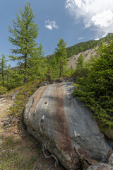 Scenic landscape featuring a large boulder amidst lush greenery in a mountainous area during daytime