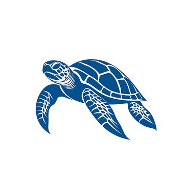 Stylized blue sea turtle illustration with detailed shell pattern
