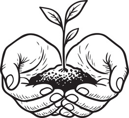 Nurturing Growth: A pair of cupped hands delicately cradle a young plant with fresh leaves, a symbol of nurture, growth, and the environment.