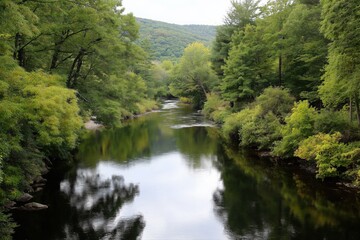 Serene river landscape with lush green trees and calm waters in a forest setting