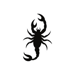 Silhouette of a black scorpion on white on transparent background