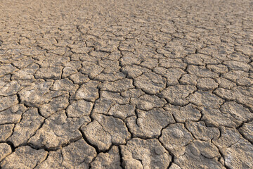 The background is dry and cracked,Close up shot of drought, dried soil photographed from top view.