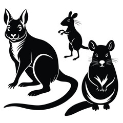 Australian Marsupials in Black and White Silhouette Kangaroo Wallaby and Quoll for Animal Lovers Home Decor Art Prints