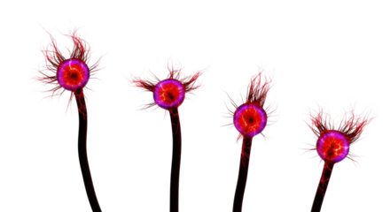 Jagged, flickering dark crimson and violet energy arcs with searing plasma bursts, isolated on a transparent background with copy space, concept of system failure and uncontrolled energy