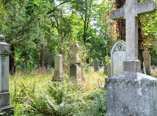 Viele alte Grabsteine auf einer Wiese und unter Bäumen  Alter Südfriedhof München