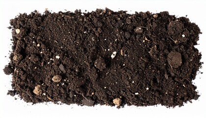 Dark Brown Potting Soil Rich, Fertile Garden Earth Texture