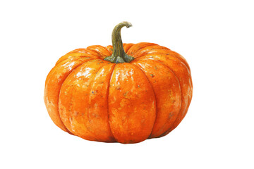 Obraz premium Watercolor halloween fresh orange pumpkin isolated on transparent background
