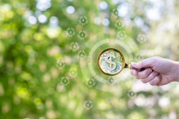 Exploring value through a magnifying glass in nature.