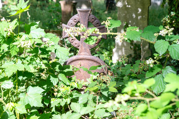 Sehr alte Metall-Grabstein mit einem Kreuz inmitten von Brombeeren alter Südfriedhof in München