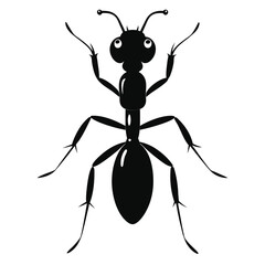Minimalist Insect Silhouette Illustration of Ant