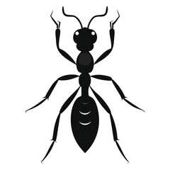Minimalist Insect Silhouette Illustration of Ant