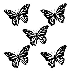 Obraz premium set of vector butterflies