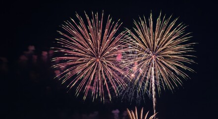 Two vibrant fireworks bursts against a dark night sky
