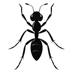 Ant Silhouette Symbol for Nature and Wildlife