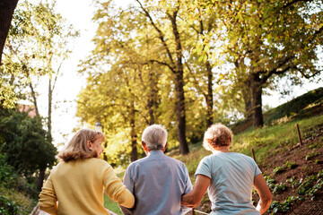 A Beautiful Family Stroll Through the Colorful Autumn Park with an Elderly Man Enjoying Nature