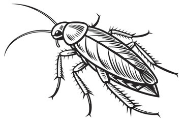 Monochrome Depiction of a Cockroach Vector Art Featuring Intricate Line Work and Shading to Emphasize Details of the Insect
