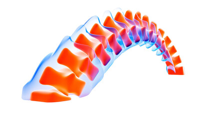 Spine vertebra anatomy medical bone structure health human illustration abstract glowing orange blue curved skeletal biology science back orthopedic 3D digital segment healthcare pain posture