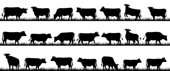 silhouettes of cows on a white background. Vector illustration.