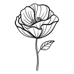 sketch poppy flower icon