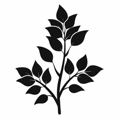 Plant Branch Silhouette Isolated on White Background