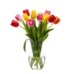 A vibrant bouquet of colorful tulips in a clear glass vase isolated on transparent background, showcasing a mix of red, yellow, pink, and orange blooms with fresh green leaves, perfect for spring or f